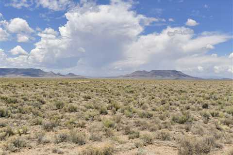 Two 5 Acre adjacent lots in Rio Grande Ranches, 10 acres total! | Great Land Investments