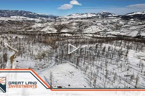 1 Acre of Colorado Land for sale with trees and mountain views.