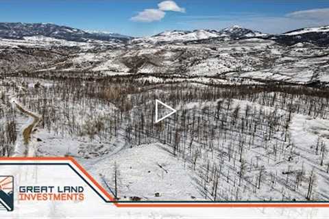 1 Acre of Colorado Land for sale in Forbes Park with trees and mountain views.