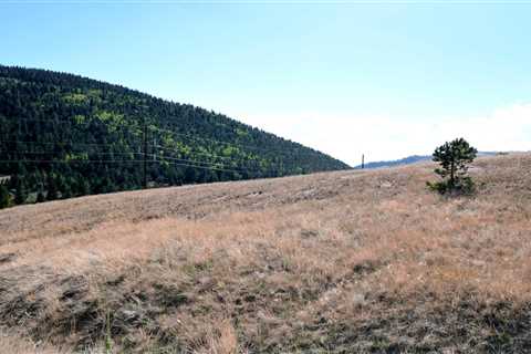 2.24 Acres in the City of Gold Mines- Victor, CO