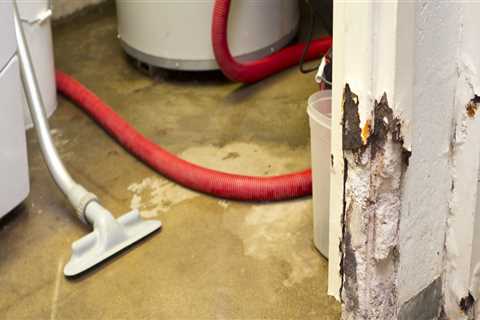 Does mold affect home value?
