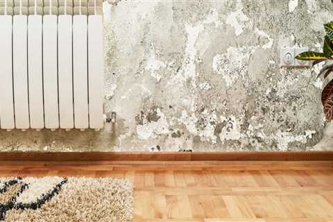 Does mold affect appraisal?