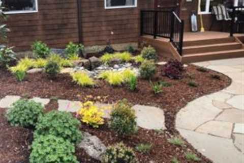 Low Maintenance Front Yard Curb Appeal