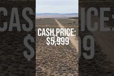 Love the outdoors, wild horses & sunny days; then is lot is for you! #landforsale #land #colorado