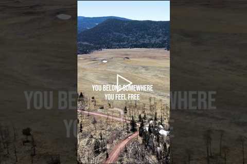 What is feeling free? 😱 #colorado #land #forsale #investment