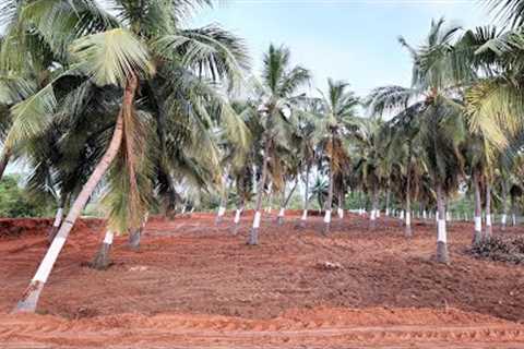 Ad:155- Red Soil Commercial Property for Sale in Marakkanam ECR |98cent| 50 meters from ECR road