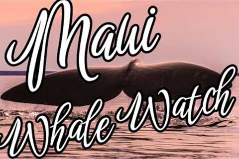Whale Watch! Maui Hawaii with Footage from Eric West Realtor