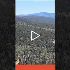 New land for sale! #land #investment #great #colorado