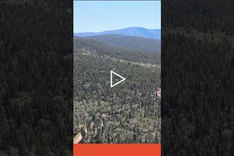 New land for sale! #land #investment #great #colorado