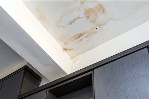 Does homeowners insurance cover mold from roof leak?
