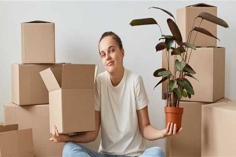 Do Movers Pack Things? - An Expert's Guide