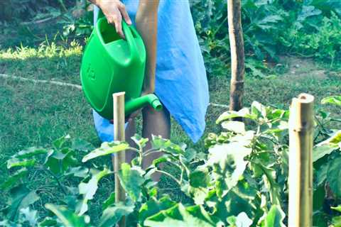 8 eco-friendly gardening tips for a greener sustainable garden