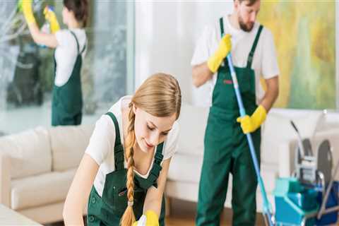 The Ultimate Guide To House Cleaning In Hailey, ID, After Duct Cleaning