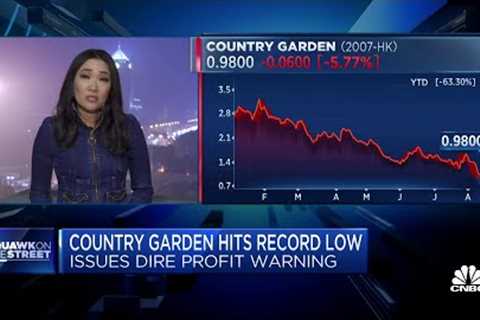 China Real Estate Troubles: Country Garden hits record low after profit warning as debt fears loom