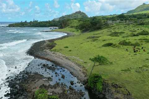 How can i contact the maui coastal land trust?