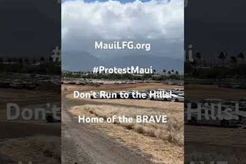 Maui Needs Brave People to Come NOW!#ProtestMaui