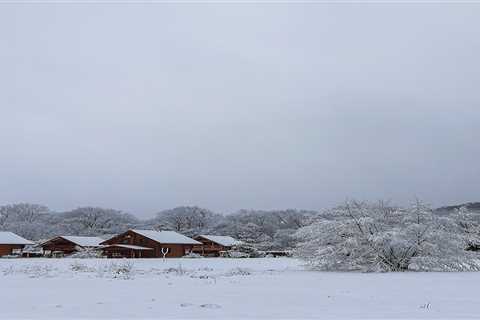 Minnesota Log Cabin