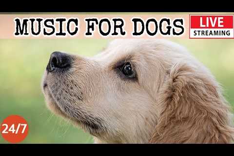 [LIVE] Dog Music🎵 Deep Separation Anxiety Music for Dog Relaxation! 🐶💖Dog Calming Sleep Music