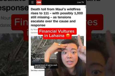 How the Maui wildfires tragedy is affecting real estate #money #greenscreen #investment #realestate