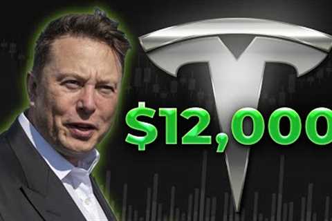 The One Factor Why YOU SHOULDN’T SELL Your Tesla Stock — EVER!