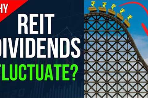 Don''t Panic!  The SECRET Behind REIT Dividend Swings! 📉🎢