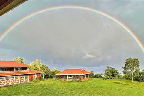 For Sale:  89-1409 Hawaii Belt Rd, Big Island Hawaii Farm 4BR/5BA with Pavilion - Real Estate