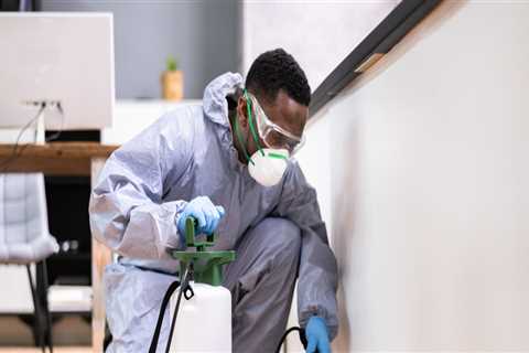 Securing Your Dream Home: The Importance Of Pest Control Services In Airdrie For Home Buying