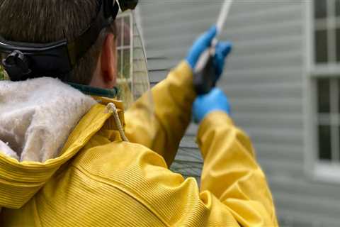 How Pressure Cleaning Companies In West Chester Can Transform Your Green Home?