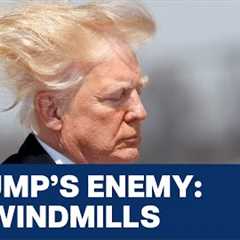 Why Does Trump Hate Windmills? | Vantage with Palki Sharma