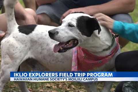 Hawaiian Humane Society’s ʻĪlio Explorers program: fields trips to forever homes