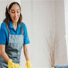 Benefits Of Hiring A Cleaning Company When Buying A Home In Winter Garden