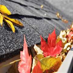 Cleaning Gutters and Downspouts: The Essential Guide for Roof Maintenance