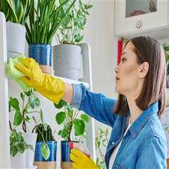 Home Cleaning Services In Seattle, WA: Refresh Your Green Home