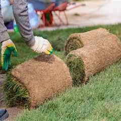 Eco-Friendly Living: How Lawn Fertilizing Services Support Your Green Home Goals