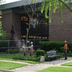 Maximizing Light And Space: The Benefits Of Tree Removal For Louisville Real Estate Photography