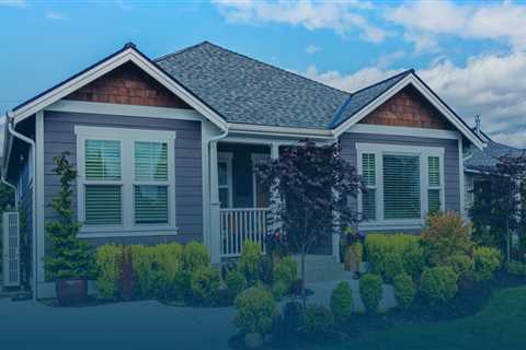 Mold Removal Experts Dedicated To Preserving Green Homes In Charleston, SC