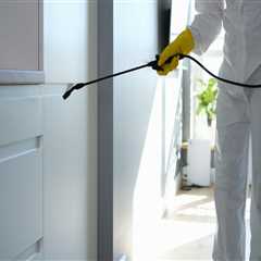 Why You Should Hire Rodent Exterminators For Rat Pest Control Services During Manufactured Home..