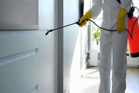Why You Should Hire Rodent Exterminators For Rat Pest Control Services During Manufactured Home..
