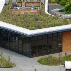 Preserving Green Homes: Top Building Restoration Solutions In The Greater Seattle Area