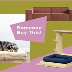 Stylish Dog Beds That Aren’t a Nightmare to Clean