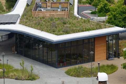 Preserving Green Homes: Top Building Restoration Solutions In The Greater Seattle Area