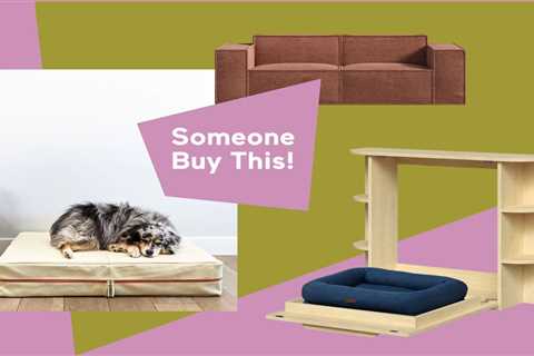 Stylish Dog Beds That Aren’t a Nightmare to Clean
