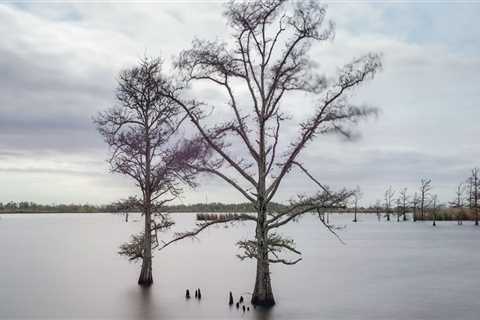 From Flood To Fair Market Value: How Water Cleanup Protects Your Appraisal In Mt. Pleasant