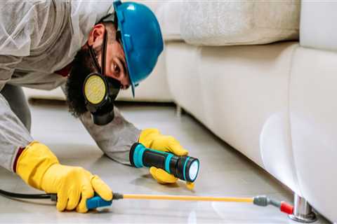 Protecting Your Sustainable Space: Pest Control For Green Homes In Longwood, FL