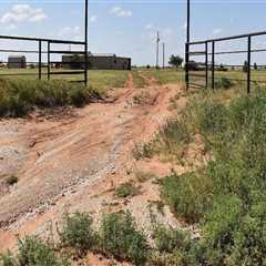 Discovering the Unique Wildlife of Lubbock, Texas
