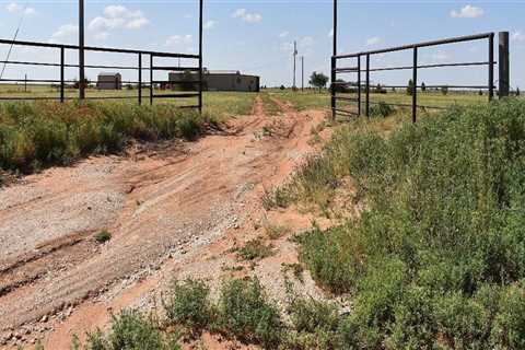Discovering the Unique Wildlife of Lubbock, Texas