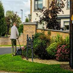 The Visual Impact Of Lawn Care: Grass Mowing For Real Estate Photography In Derry, NH