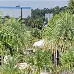 Apartments For Rent In Venice, FL: Where Home Building Innovation Meets Modern Living
