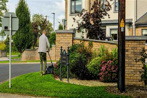 The Visual Impact Of Lawn Care: Grass Mowing For Real Estate Photography In Derry, NH
