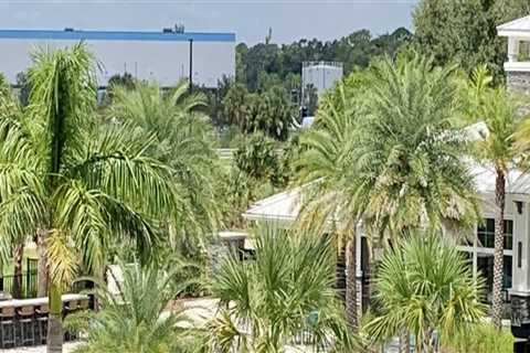 Apartments For Rent In Venice, FL: Where Home Building Innovation Meets Modern Living